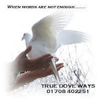 True Dove Ways 1096632 Image 2